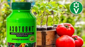 АЗОТОВИТ: ВСЯ ПРАВДА о популярном биоудобрении