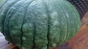 ТЫКВА МАРИНА ИЗ КИОДЖА С АРОМАТОМ СИРЕНИ