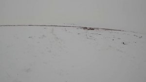 Охота на зайца 2021/22
Два дня охот загоном. #охота на зайца