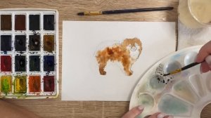 Как нарисовать собаку породы шпиц карандашом и акварелью начинающим | Рисунок для детей