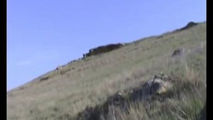 05_05_2012_В окрестностях села ГОФИЦКОЕ Ставропольский кр..mp4