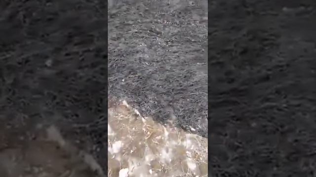 ЦЕНТРАЛЬНОЕ КЛАДБИЩЕ, г.Грозный, поджог сухой травы на участке где находятся Еврейские захоронения. смотреть онлайн