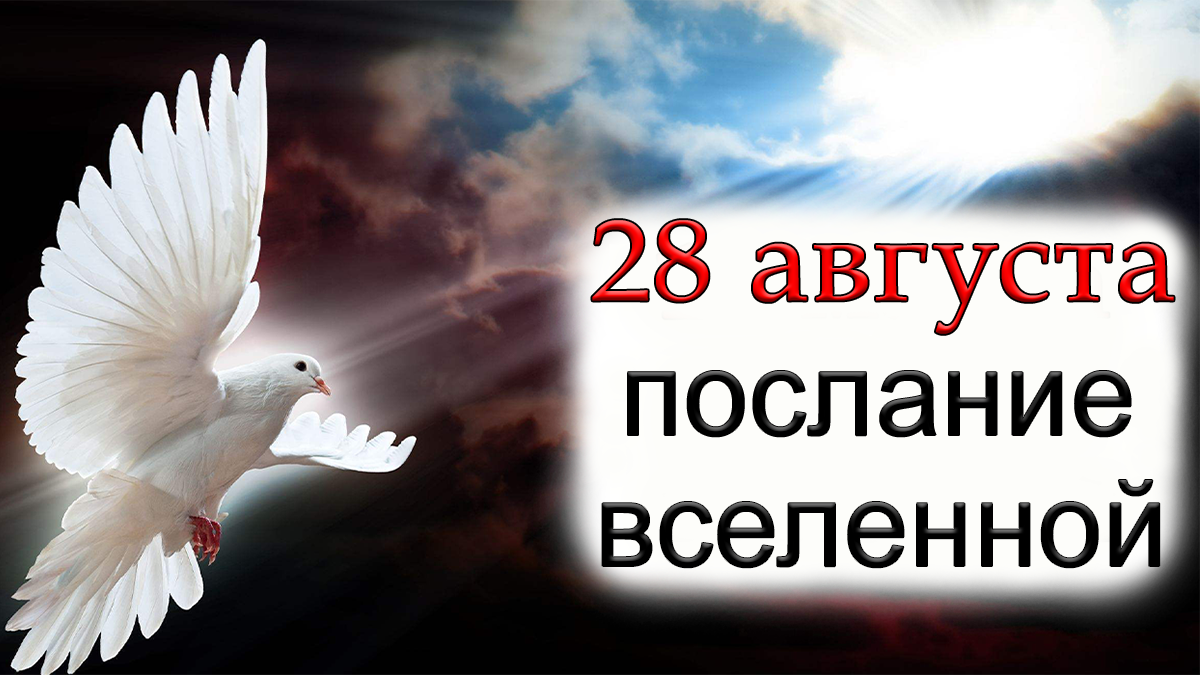 ПОСЛАНИЕ ВСЕЛЕННОЙ на 28 августа.*Эзотерика Для Тебя*