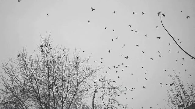 Стихотворение И.Уткина "Мальчишку шлёпнули в Иркутске..." #стихиовойне  #поэты20века