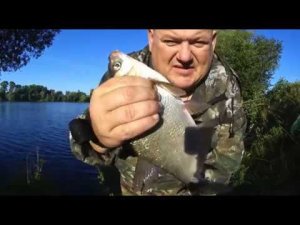 Донка против фидера ,рыбалка на леща,отдохнули половили ,хорошая погодка,лещ на пенопласт сало,лето