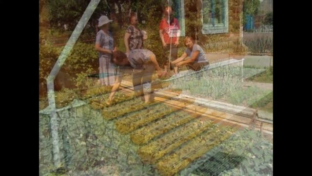Дачные хитрости своими руками