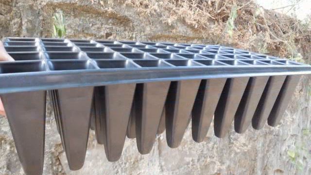 propagation trays | propagation seed trays | propagation cell trays | propagation liner trays смотреть онлайн