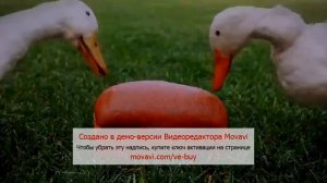 Спанч боб Ты чё такая дерзкая? А?