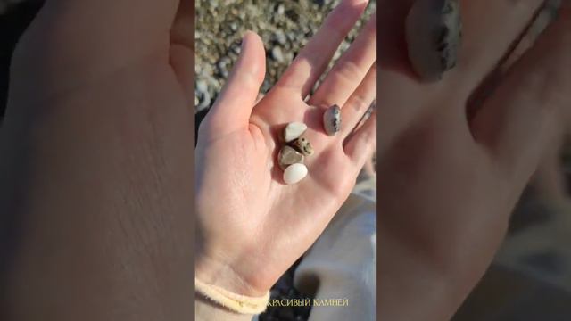 vlog набережная Ялты #terrace #планыналето #морепродукты #ананас #море #прогулки #крым #корабли