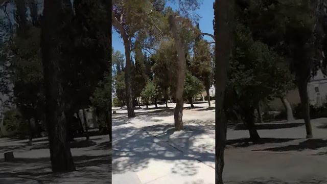 Обретение главы Иоанна Предтечи 26.07.19 смотреть онлайн