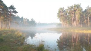 Релакс музыка Людвиг Ван Бетховен