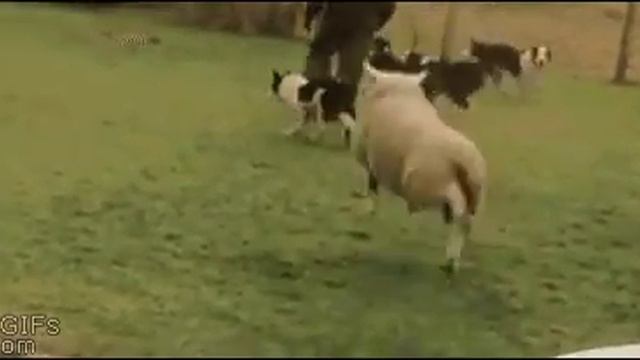 Как надо влиться в коллектив... смотреть онлайн