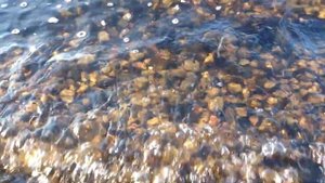 Пироговское водохранилище и закат солнца под шум прибоя