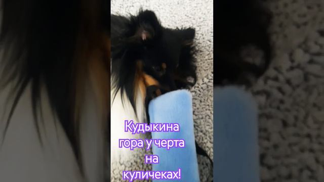 Как фанера над Парижем..!🎊