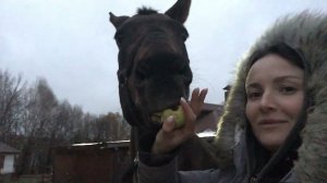 УЕХАЛИ ИЗ ДЕРЕВНИ К ЧУЖИМ ЛОШАДЯМ И СДЕЛАЛИ ПОКУПКИ. ЖИЗНЬ ПРОСТЫХ ЛЮДЕЙ В ДЕРЕВНЕ