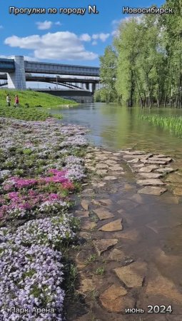 🌿 Парк "Арена" в июне