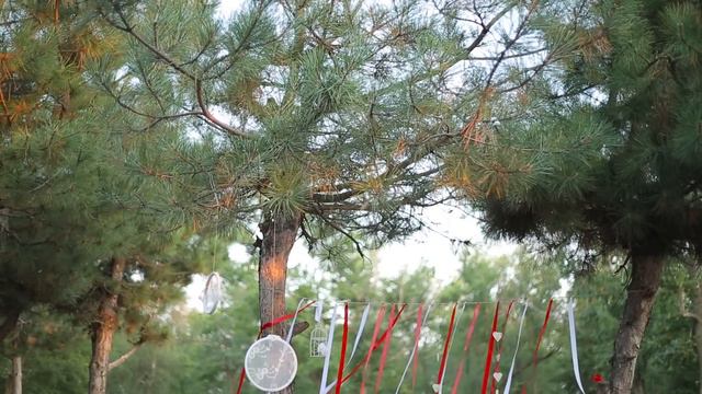 Евгений и Ольга смотреть онлайн