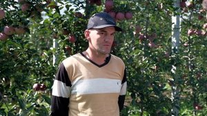 Яблочный бизнес - самый топовый // Уникальное интервью с владельцем интенсивного сада яблок