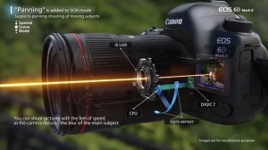 Canon EOS - Capturing Fast Motion with EOS 6D Mark II Panning Mode