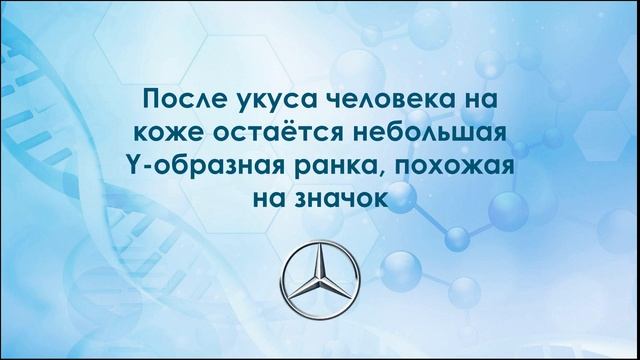 Гирудотерапия Интересные факты о пиявках смотреть онлайн