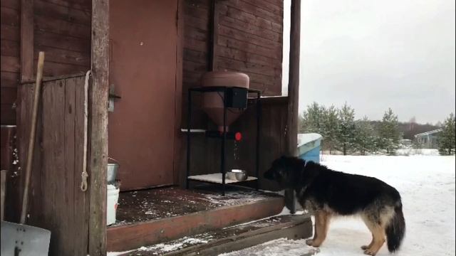 Автоматическая кормушка для сельскохозяйственных животных