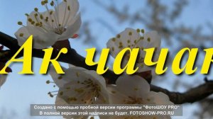Ак чачаклэр