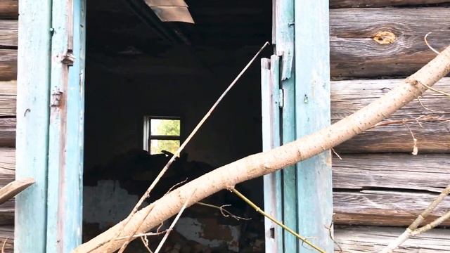 Покинутая деревня в Брянской глуши. В этих домах давно никто не живет.