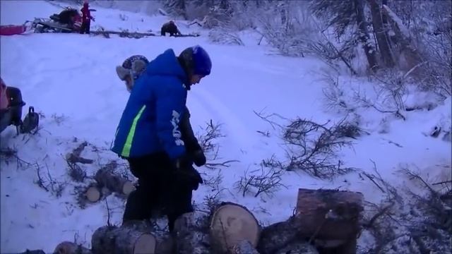 New VK540V and a some beaver trapping and wood cutting смотреть онлайн