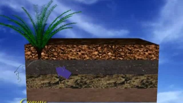 Питание растений смотреть онлайн