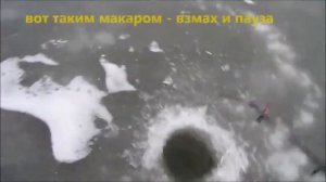 Окунь. Зимняя рыбалка на печаре сурское вдхр (3 декабря 2017 г)