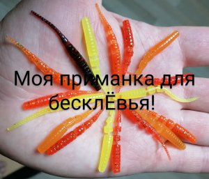 Моя приманка для бесклевья!