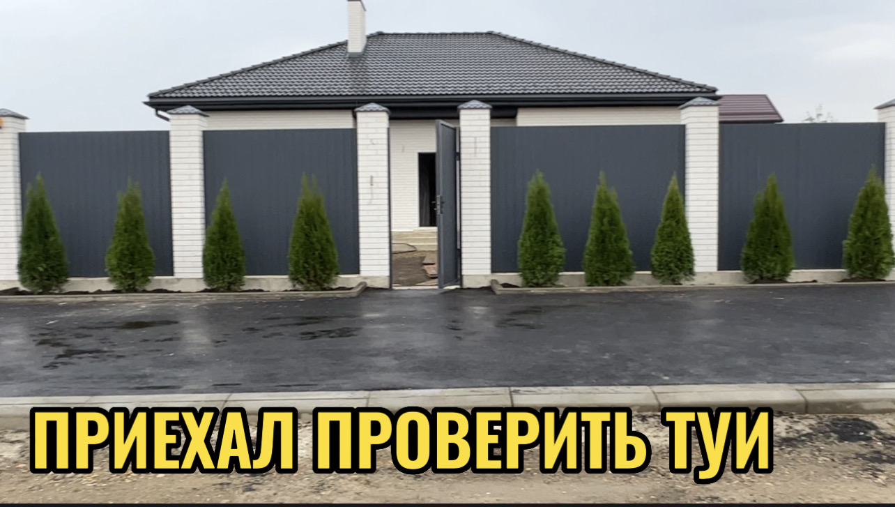 ПРИЕХАЛ ПРОВЕРИТЬ ТУИ.