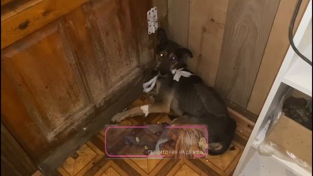 Наше пополнение за сегодня. смотреть онлайн