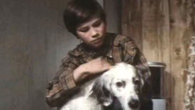 Топ 5 самых грустных фильмов смотреть онлайн