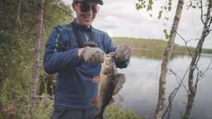 Чёрные рыбы торфяного озера. По новым местам в поисках крупной щуки.