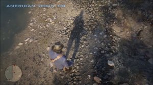 Red Dead Redemption 2 - American Robin Location