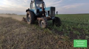 Пары это? Зачем важно ПАРОВАТЬ ПОЛЕ?