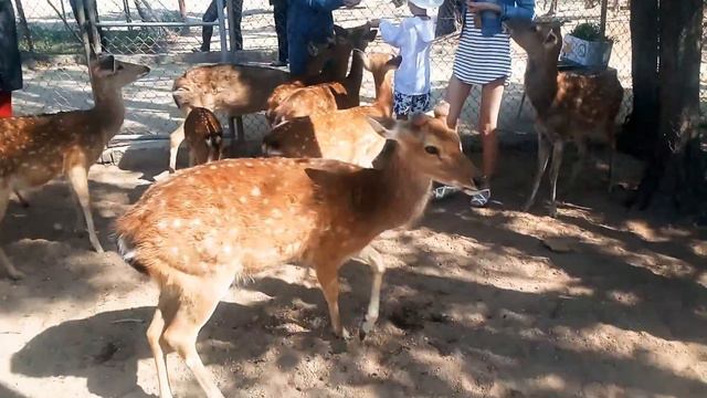 7 февраля 2018 г. смотреть онлайн