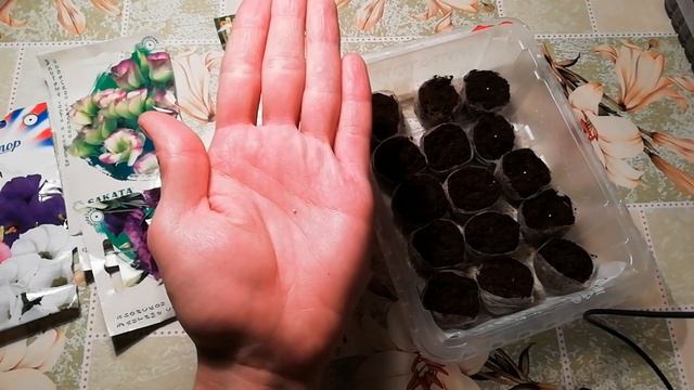 ЭУСТОМА ВЫРАЩИВАНИЕ ИЗ СЕМЯН. ПРАВИЛЬНЫЙ ПОСЕВ ЭУСТОМЫ.