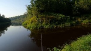 Атака рыбы. Рыбалка на спиннинг.