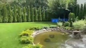 озеленение участка шесть соток