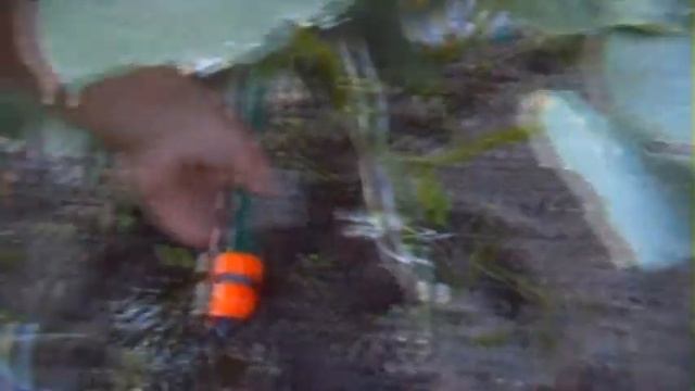 Огурцы Колибри смотреть онлайн