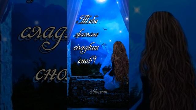 Спокойной ночи! Сладких снов! смотреть онлайн