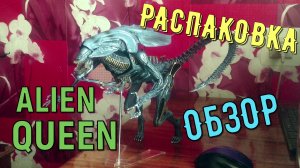 Распаковка и обзор экшн фигурки Королева Чужих от Neca