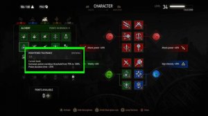 The Witcher 3 Death March Character Build - The Blademaster (Level 30-35)