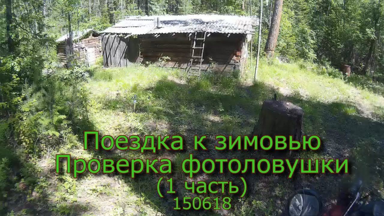 Поездка к зимовью Проверка фотоловушки (1 часть) 150618