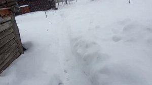 шашлык и баня по чёрному
