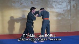 ПЛАМя - сравнение ударов ладонью и кулаком