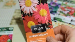 Цветы, которые планирую посадить в саду.