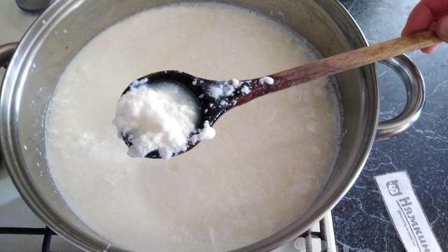 Творог из скисшего молока в домашних условиях